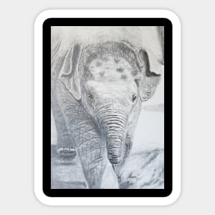 Baby Elephant Sticker